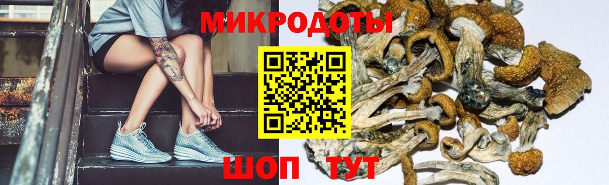 наркошоп  Псилоцибиновые грибы Psilocybe  Вход с VPN  Майкоп 