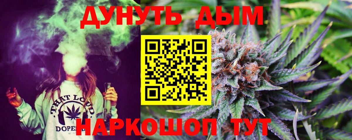 Каннабис сатива  Вход с VPN  Майкоп  Конопля гибрид  Конопля ГИДРОПОН 